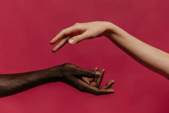 카지노 미스터 잭 베가스 지원